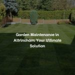 Garden Maintenance in Altrincham: Your Ultimate Solution