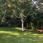 Ground Maintenance in Alderley Edge 