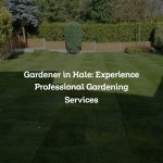 Gardener in Hale: Experience Professional Gardening Services