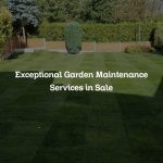 Exceptional Garden Maintenance Services in Sale