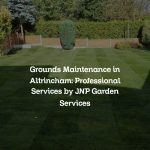 Grounds Maintenance in Altrincham: Professional Services by JNP Garden Services