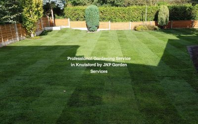 Professional Gardening Service in Knutsford by JNP Garden Services