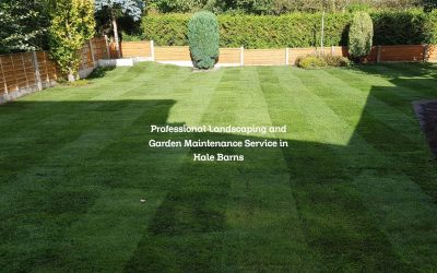 Professional Landscaping and Garden Maintenance Service in Hale Barns