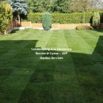 Landscaping and Gardening Service in Lymm – JNP Garden Services