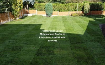 Professional Garden Maintenance Service in Altrincham – JNP Garden Services